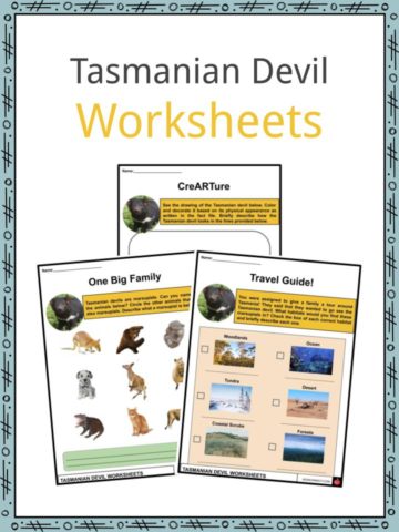 Tasmanian Devil Worksheets