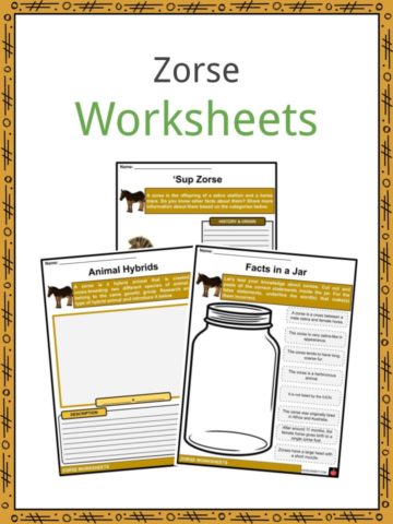 Zorse Worksheets