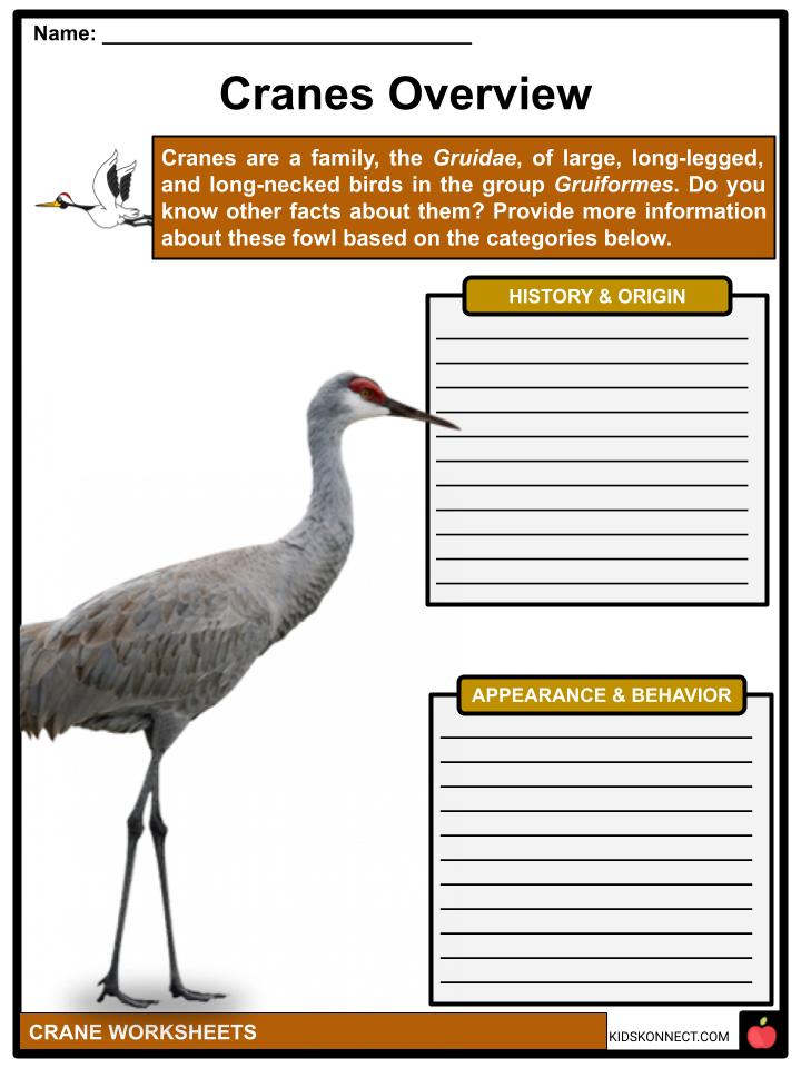 crane bird essay in english