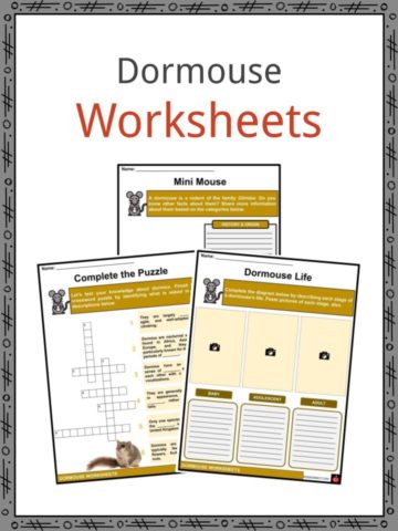 Dormouse Worksheets