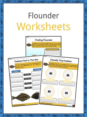 Flounder Worksheets