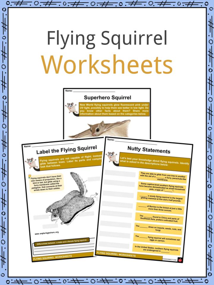 Flying Squirrel Worksheets
