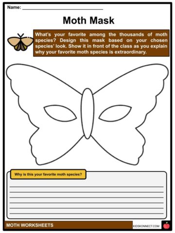 Moth Facts, Worksheets, Etymology & History For Kids