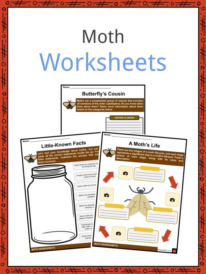 Moth Worksheets