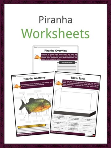 Piranha Worksheets