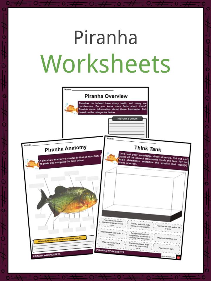 Piranha Facts, Worksheets, Taxonomy & Anatomy For Kids