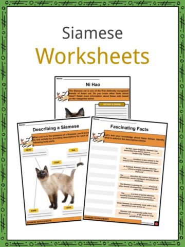 Siamese Worksheets