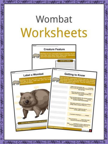 Wombat Worksheets