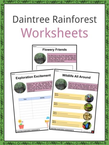 Daintree Forest Worksheets