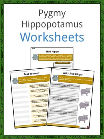 Pygmy Hippopotamus Worksheets