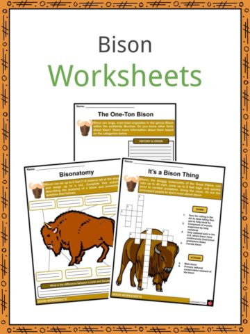 Bison Worksheets
