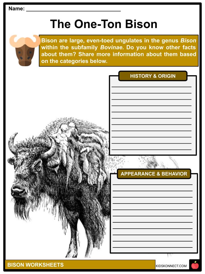 case study american bison answer key