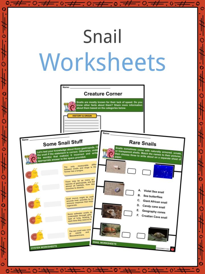 Snail Worksheets