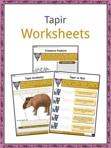 Tapir Worksheets