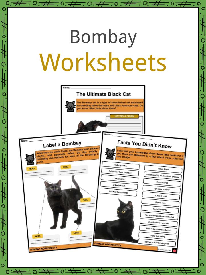Bombay Worksheets