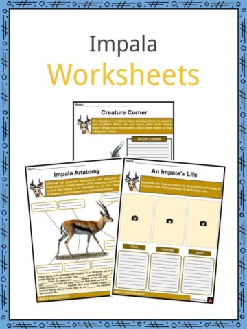 Impala Worksheets