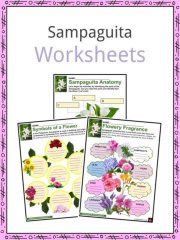 Sampaguita Worksheets