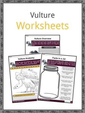 Vulture Worksheets