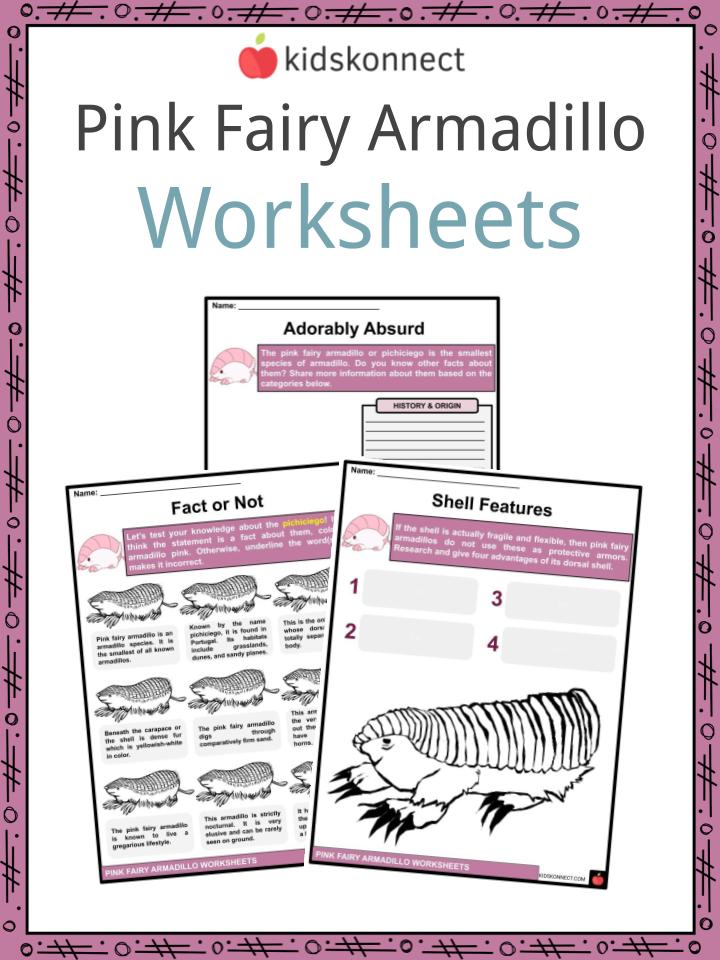 pink fairy armadillos