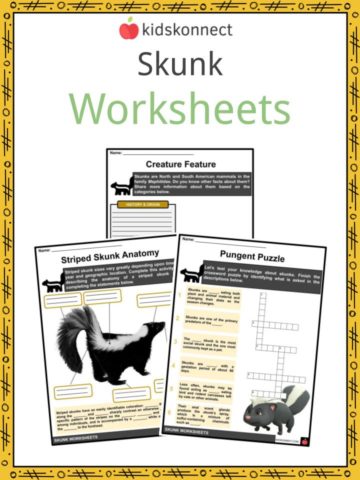 Skunk Worksheets