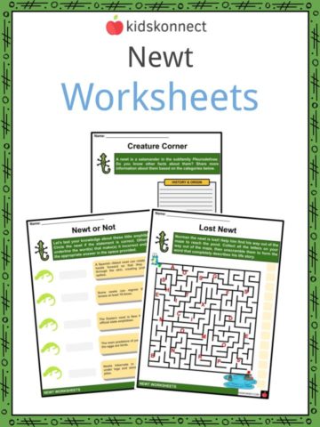 Newt Worksheets