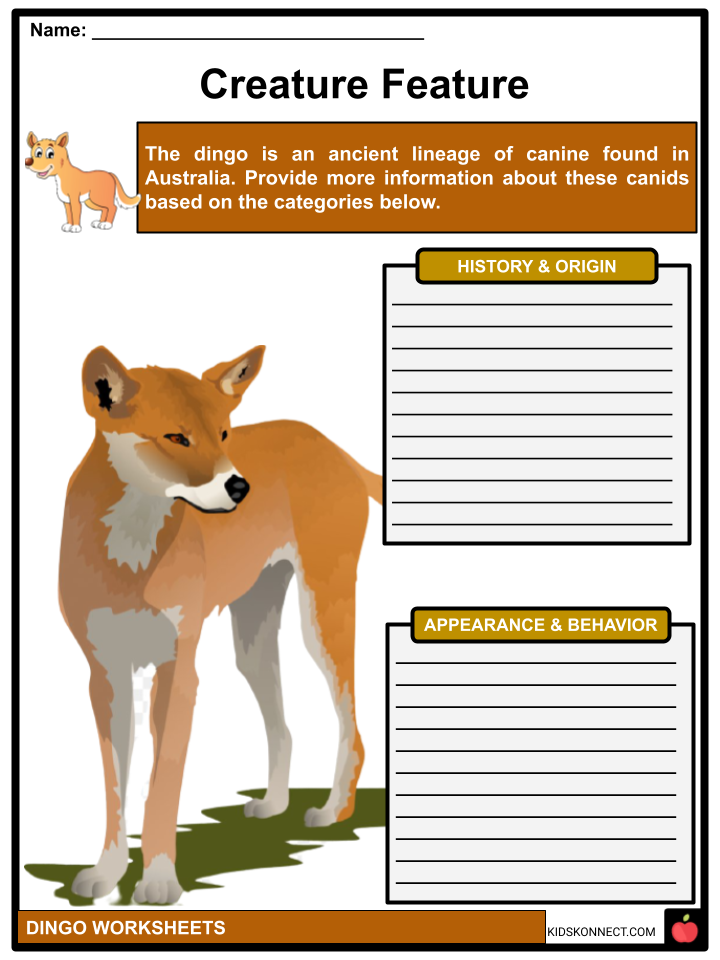 Dingo, Diet, Habitat, & Facts