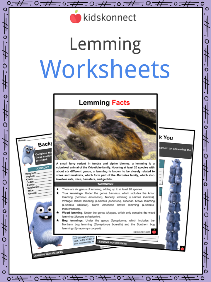 Lemming Habitat, Diet, Behavior, Facts and Worksheets for Kids