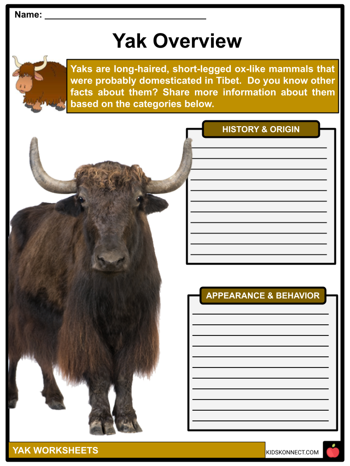 Yak Facts, Worksheets, Types & Benefits For Kids