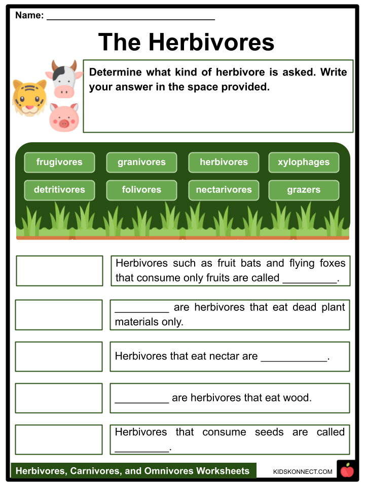 Herbivores, Carnivores, and Omnivores Facts and Characteristics