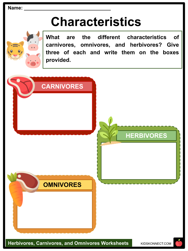 Herbivores, Carnivores, and Omnivores Facts and Characteristics
