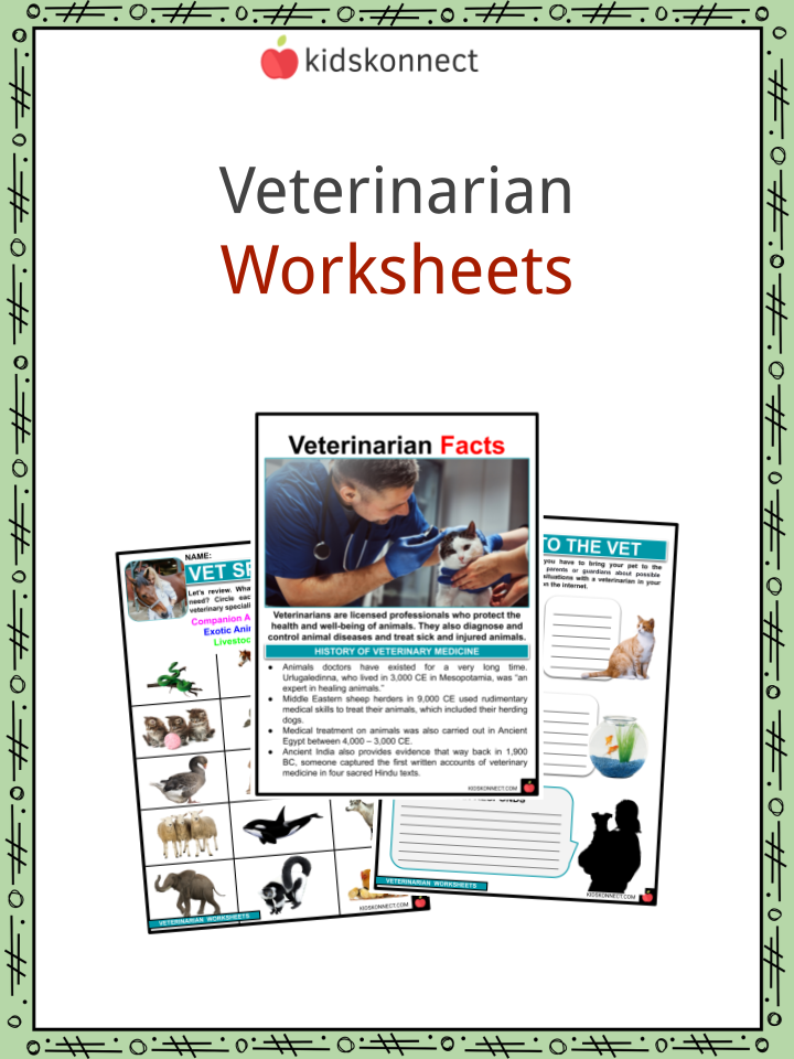 essay about veterinarian