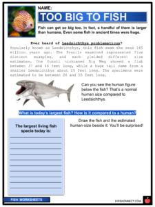 homework fish facts