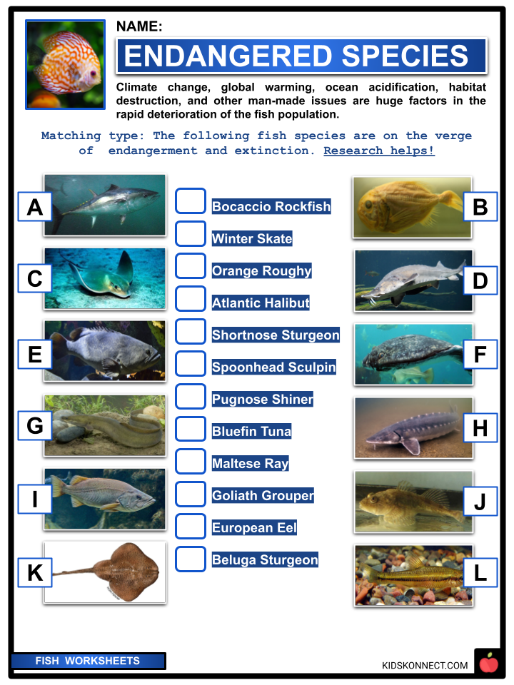 Fish Facts, Worksheets, Different Kinds, Evolution & Habitat for Kids