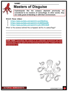 Octopus worksheets