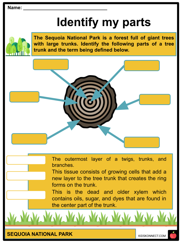 Sequoia National Park Worksheets