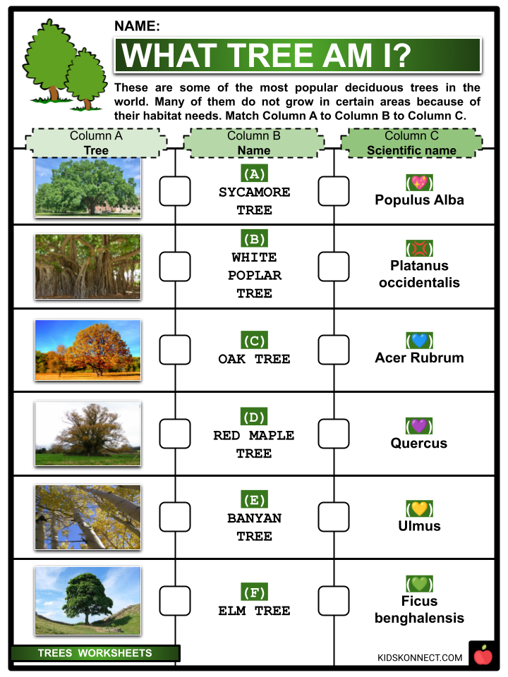 PDF Worksheets about Trees