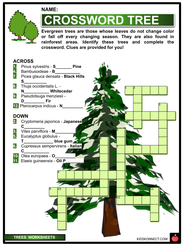PDF Worksheets about Trees
