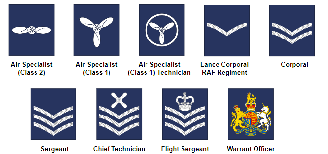 Royal Air Force Facts & Worksheets | History, Function, Combat, Figures