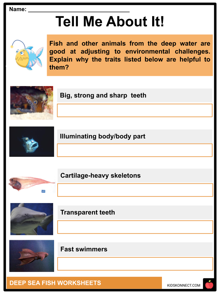 Deep Sea Fish Facts & Worksheets