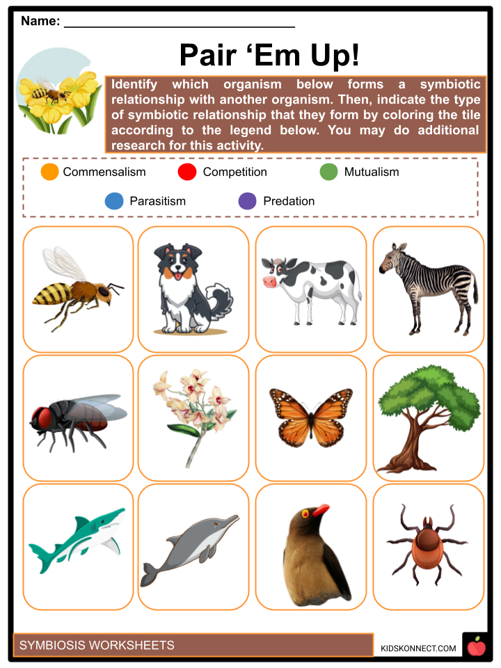 Symbiosis Facts & Worksheets | Meaning, Relationships