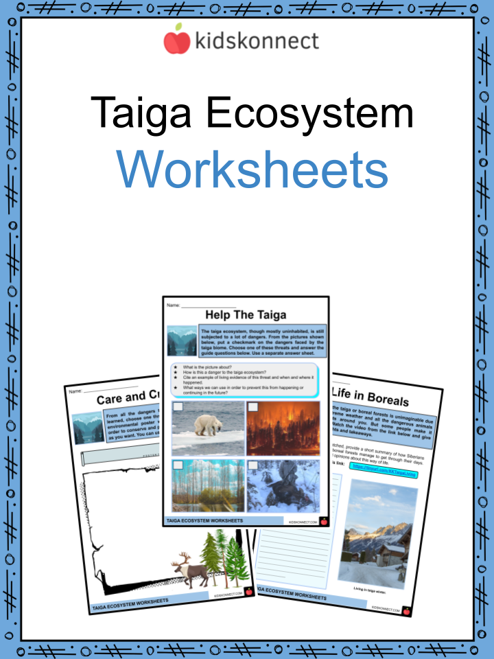 Taiga Ecosystem Facts & Worksheets