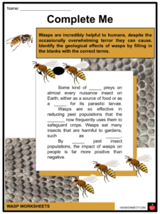 Wasp Facts & Worksheets | Colonies, Taxonomy, Types