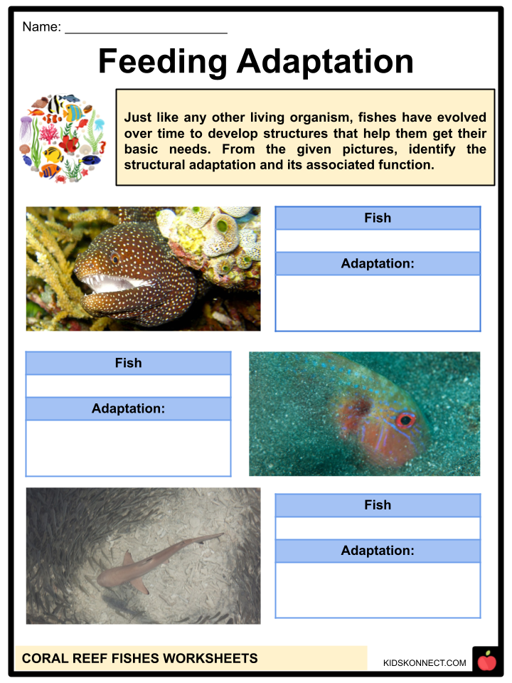 coral-reef-fish-worksheets-facts-species-symbiosis-habitat