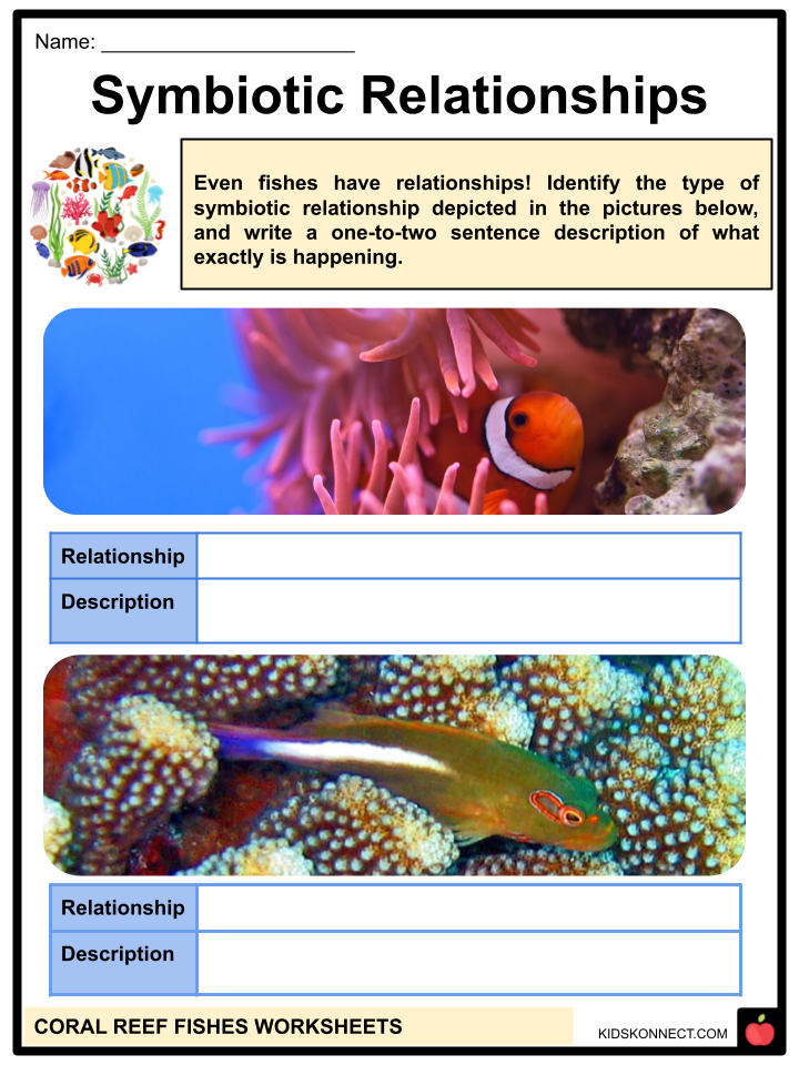 Coral Reef Fish Worksheets & Facts | Species, Symbiosis, Habitat