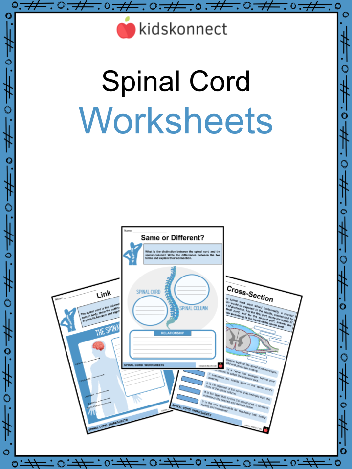 student worksheet for chapter 9 spinal injuries