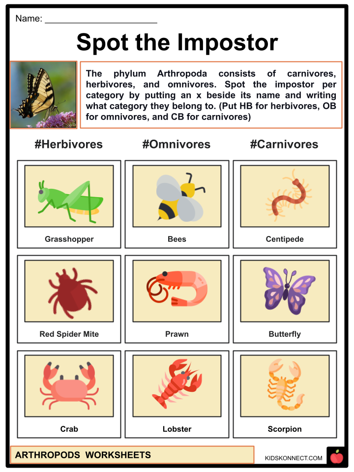 Arthropods Facts Worksheets Classifications Evolution