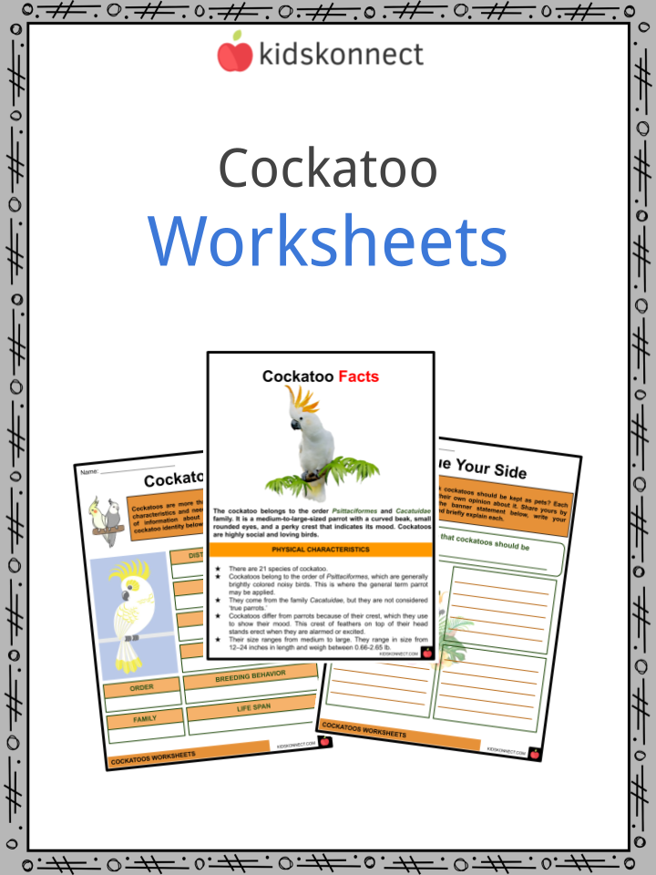 attention seeking behavior worksheets