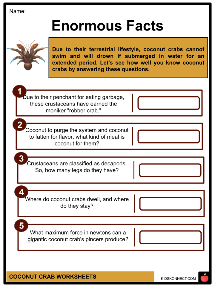 Coconut crab worksheets