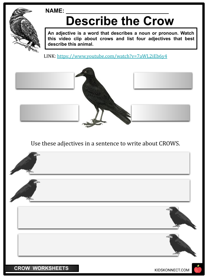 crow worksheets: describe the crow