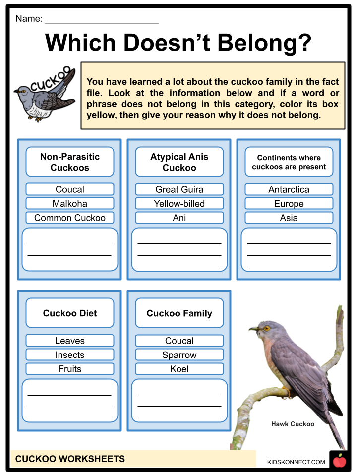 Cuckoo worksheets: which doesn't belong?